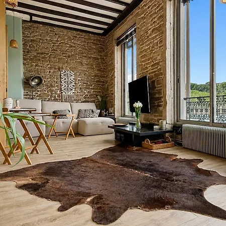 Loft D'exception Vue Sur Saone Et Ile Barbe Caluire-et-Cuire