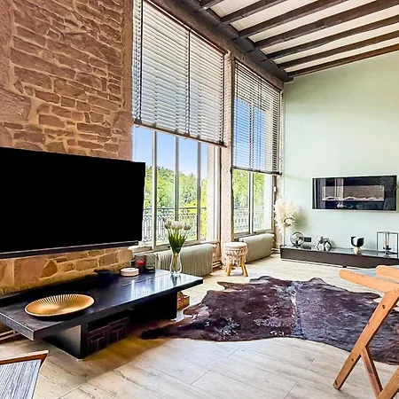 Apartment Loft D'exception Vue Sur Saone Et Ile Barbe