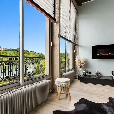 Loft D'exception Vue Sur Saone Et Ile Barbe
