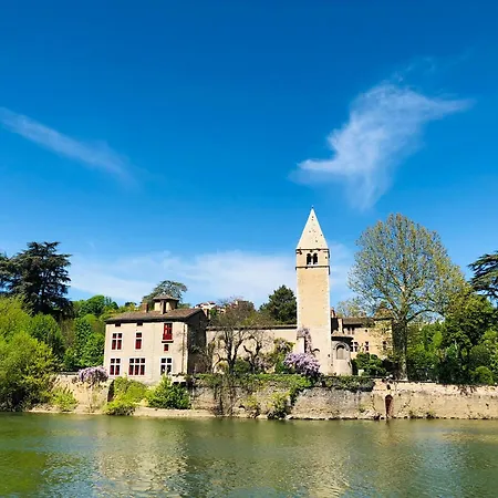 Loft D'exception Vue Sur Saone Et Ile Barbe