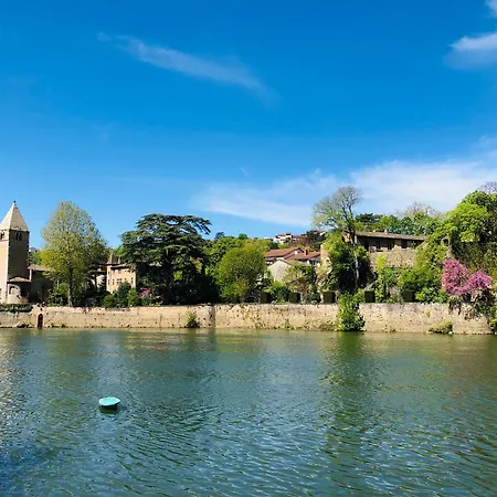شقة Loft D'exception Vue Sur Saone Et Ile Barbe *