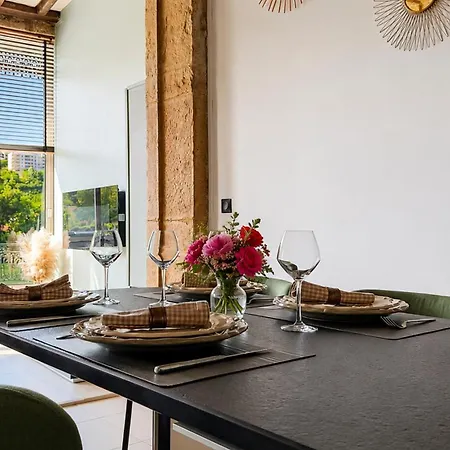 Loft D'exception Vue Sur Saone Et Ile Barbe