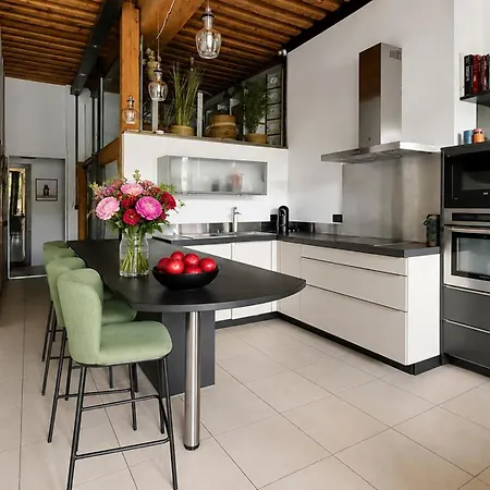 Loft D'exception Vue Sur Saone Et Ile Barbe